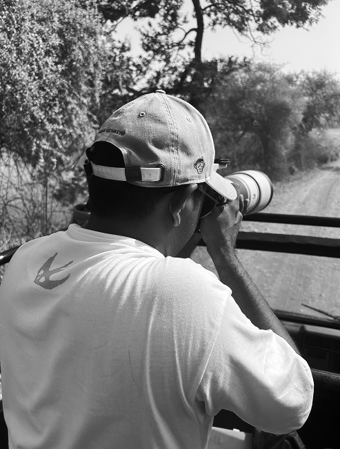Photographer capturing wildlife photo outdoors